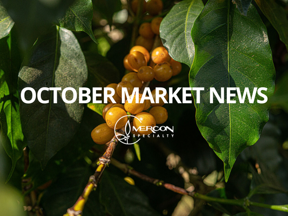 October Market News & Arrivals