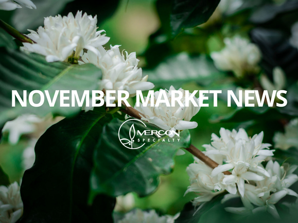 November Market News & Arrivals