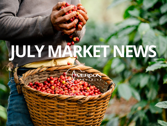July Market News & Arrivals