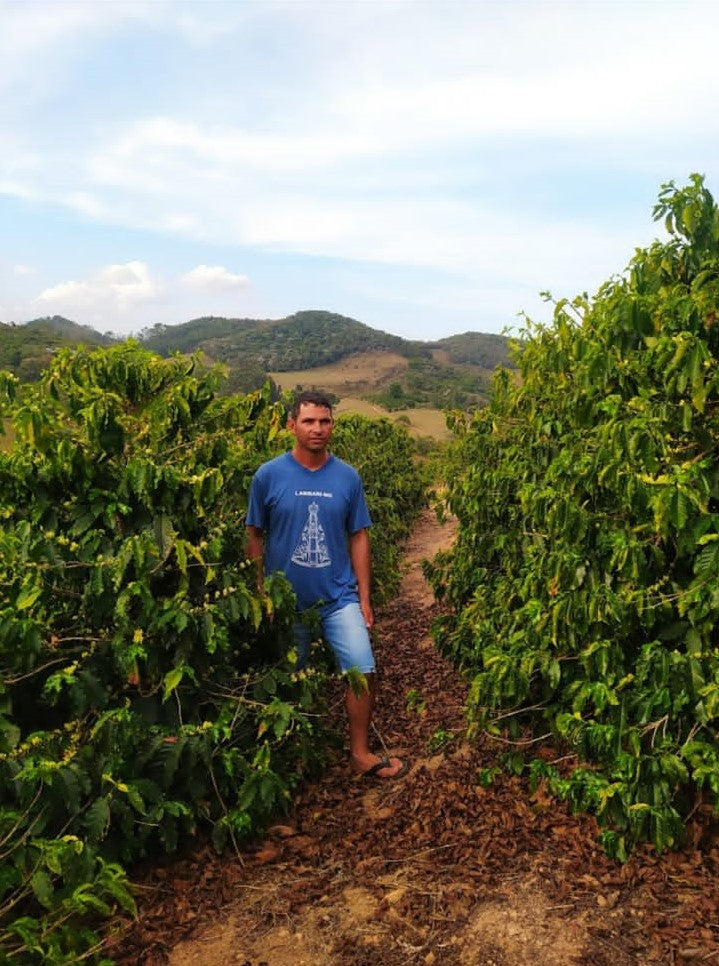 Brazilian Júlio M S Júnior “Fermented in the Box” LIFT Green Coffee Beans from Mercon Specialty