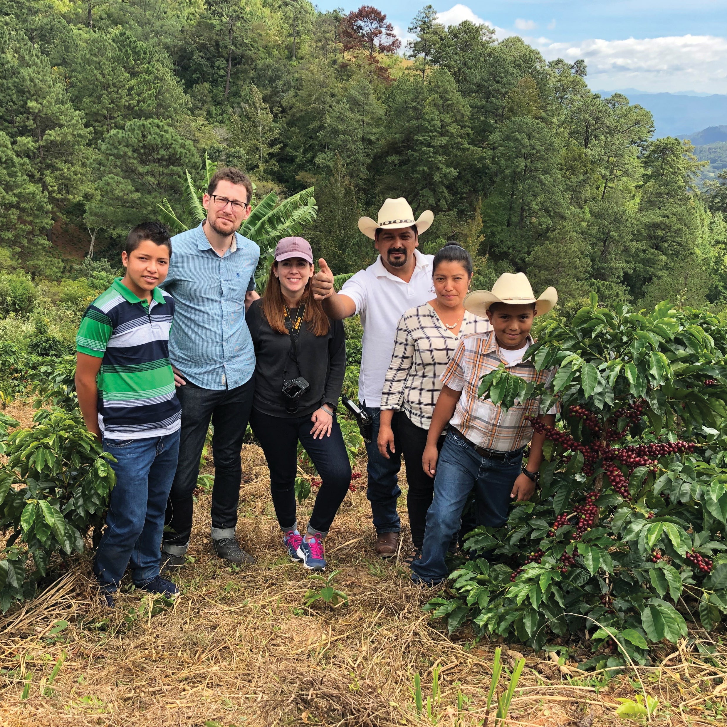 Honduran Finca el Cachimbon Natural ML LIFT Green Coffee Beans from Mercon Specialty
